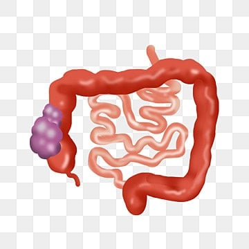 surgical-oncologist-in-lucknow